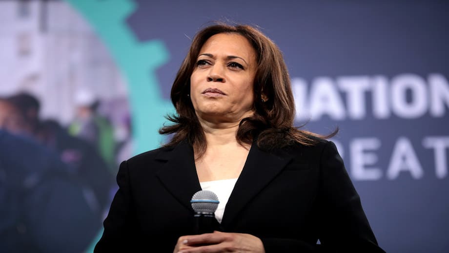 Martha’s Vineyard Resident Tears Into ‘Border Czar’ Kamala Harris