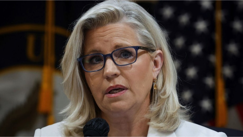 Liz Cheney Thinks She Has a Lot in Common with Lincoln Because He Lost Races Too (LOL!)