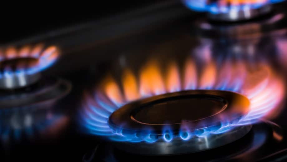 Stop Government Bureaucrats From Taking Your Gas Stove