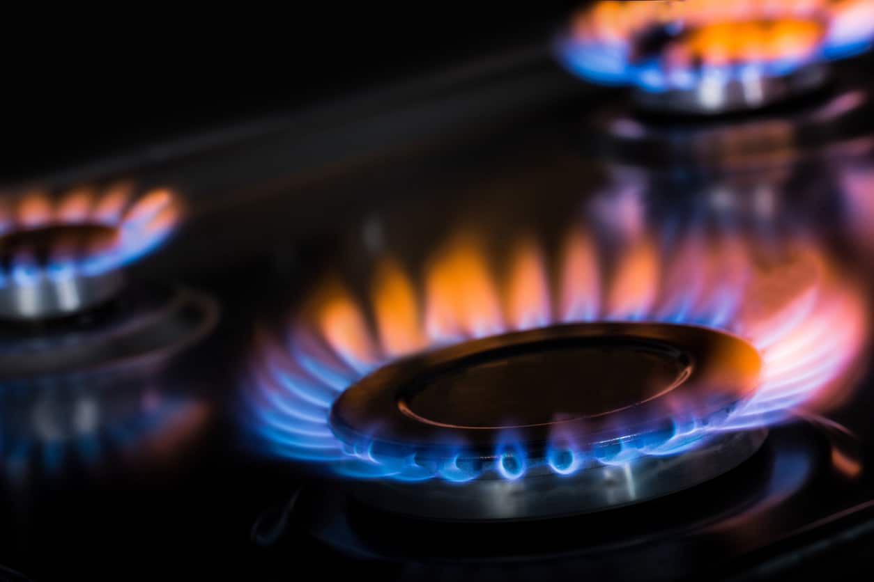 Stop Government Bureaucrats From Taking Your Gas Stove